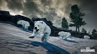 PUBG/PlayerUnknown's Battlegrounds/  PUBG СТРИМ / ПУБГ/ПАБГ/PUBG