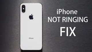 How to FIX iPhone Not Ringing Problem