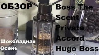 Обзор мужского аромата Boss The Scent Private Accord Hugo Boss. Шоколадная осень