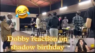 Dobby reaction on shadow birthday😂| #shorts #shadow #jonathan