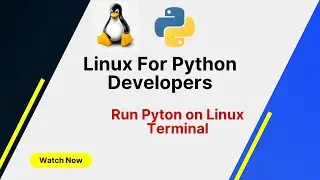 Linux Commands for Python Developers: How to Run Python Script on Linux Terminal