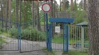 Пионерские лагеря 