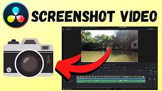 How to Screenshot / Grab Still - Davinci Resolve (The 2 Ways)
