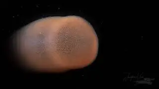 3-Meter Pyrosome in Anilao, Philippines on a Blackwater Dive by Blue Ribbon Dive Resort