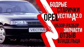 Все об Опель Вектра А (особенности, плюсы и минусы, запчасти). Отзыв владельца. 
