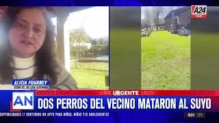 🚨DOS PITBULLS MATARON AL PERRO BULLDOG DE UNA VECINA EN UN BARRIO CERRADO