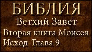 Библия.Ветхий завет.Вторая книга Моисея Исход.Глава 9.