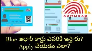 About Blue Aadhaar Card Explained In Telugu 