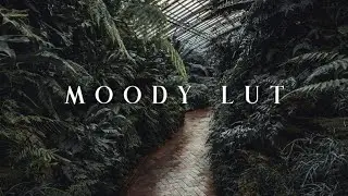Special Moody Lut For Vn video editor | Green Moody⚡ | lut vn