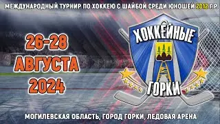 26.08.2024. ХГ. 2012. Pro Hockey - Пираньи