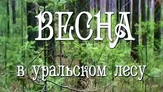 Весна в уральском лесу!! Уральская природа!