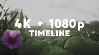 Mixed resolution on one timeline [ 1 MINUTE TUTORIAL ]