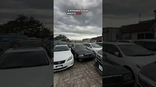 Новый Vellfire посреди старых JDM тачек. 