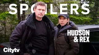 SPOILERS! What's New on Hudson & Rex Season 5 | Sundays on Citytv