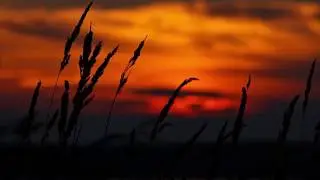 Анимация Переходы для видео контента