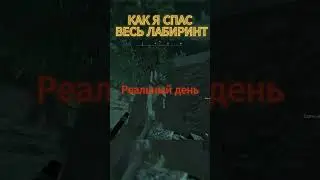 ТИПИЧНЫЙ БАГ В СТАЛКРАФТ feat СНОРК И ЛАБИРИНТ #stalcraft #stalker #сталкрафт #сталкер  #minecraft