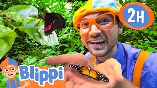 Blippi Experiments at the Science Center | BEST OF BLIPPI TOYS | Educational Videos for Kids