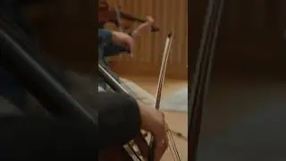 Some behind the scenes footage of the early recording sessions for 'Movement, Before All Flowers'.