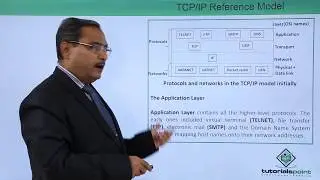 The TCP/IP Reference Model