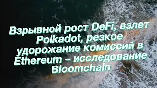Взрывной рост DeFi, взлет Polkadot, резкое удорожание комиссий в Ethereum – исследование Bloomchain