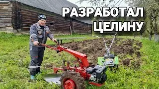 Весна мчится. Распахал целину для огорода. Моя жизнь на уединённом хуторе #хочувдеревню #хутор