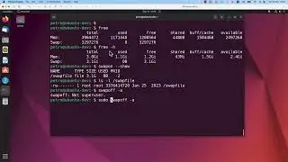 Managing swap memory in Linux