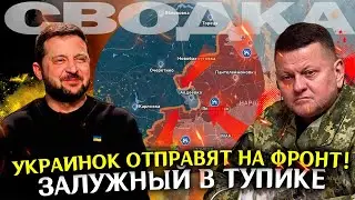 Украинок на фронт. Сводка новостей