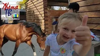 ВИДЕО ПРО ЛОШАДЕЙ И ДЕВОЧКУ ВЕРХОМ НА ЛОШАДИ || ВЕРХОВАЯ ЕЗДА ДЛЯ ДЕТЕЙ