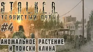 ✅ Поиски Клина и Аномальное растение STALKER Тернистый Путь (Thorny Way) #4 #ForastPlay