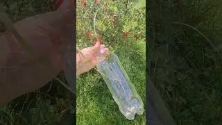 Самоделка приспособление ягодосборник своими руками 