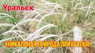 Природе в мае уникальна!