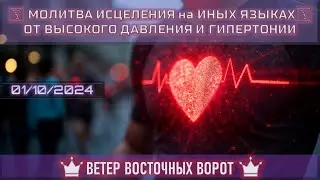 🩺🛐❤️ МОЛИТВА ИСЦЕЛЕНИЯ на ИНЫХ ЯЗЫКАХ 🩺🙏🏼💙 ОТ ВЫСОКОГО ДАВЛЕНИЯ И ГИПЕРТОНИИ💚🛐🩺  ➕ 🍇🍷🍞  ВЕЧЕРЯ 🍇🍷🍞