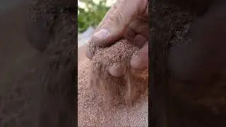 Turning Metal Scrap into Treasure