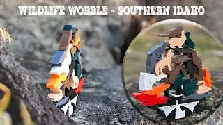 Wildlife Wobble || Southern Idaho Edition