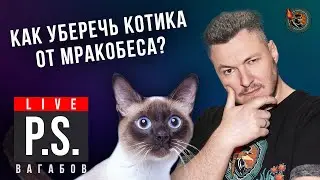 Как уберечь котика от мракобеса? Николай Вагабов. 