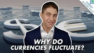 What Causes Currencies to Rise and Fall? | FX 101 (Finance Explained)