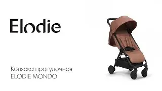 Elodie MONDO Stroller - отзыв мамы