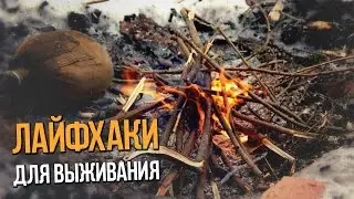 КАК ВЫЖИТЬ В ЛЕСУ? ЛАЙФХАКИ ДЛЯ ВЫЖИВАНИЯ!