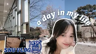 a day in my life: seoul national university MBA 🇰🇷 서울대 브이로그 | living in korea EP. 008