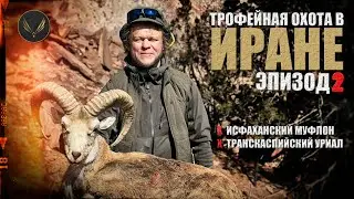 ГОРНАЯ ОХОТА В ИРАНЕ | Исфаханский баран | Транскаспийский уриал  | ОХОТА С ДЕНИСОМ МОРОЗОВЫМ