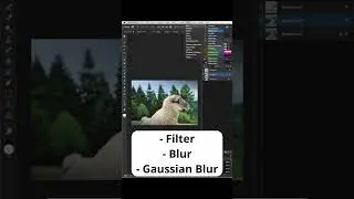 Create a Blurred Background Effect | Affinity Photo Tutorial