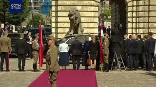 Си Цзиньпина и Пэн Лиюань поприветствовали в Королевском дворце в Будапеште