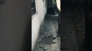 RBDLab 1.4 Ground Collapsing [Blender 3.4] 