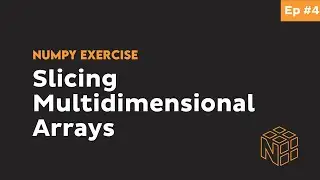 NumPy Multidimensional Array Indexing and Slicing - Beginner Python NumPy Exercises #4