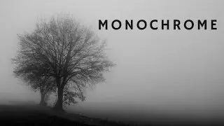 Shoot in Monochrome to improve your photo skills!