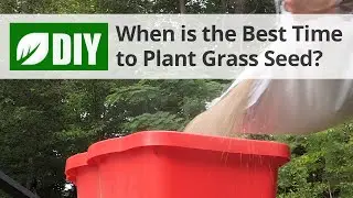 What is the Best Time to Plant Grass Seed? - Fall Lawn Tips | DoMyOwn.com