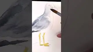 EASY how to draw and Paint a Seagull  