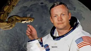 Why astronauts ate snakes