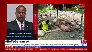 Galamsey ban: Illegal miners don't pay tax so the ban will not affect the economy - Boi |The Pulse