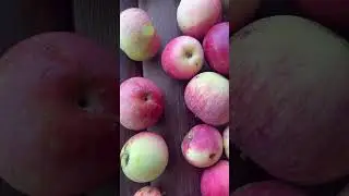 Яблочный Спас ! Поздравляю !